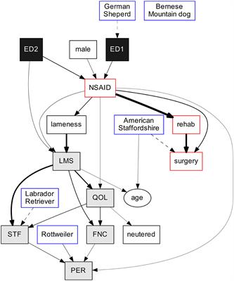 Long-Term Prognosis of Quality of Life in Dogs Diagnosed With Mild to Moderate Elbow Dysplasia in Sweden